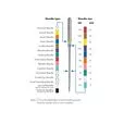 HAx1 SP Igły do owerloków domowych do stretchu i dzianin mix 2x75, 3x90 SCHMETZ op.5szt.